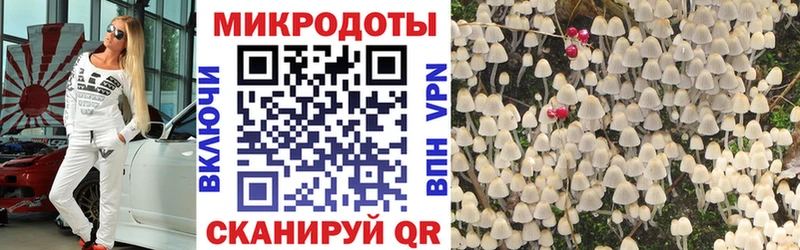 KRAKEN сайт  наркошоп  Спасск-Рязанский  Галлюциногенные грибы Magic Shrooms 
